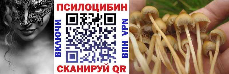 сколько стоит  Апрелевка  Псилоцибиновые грибы GOLDEN TEACHER 